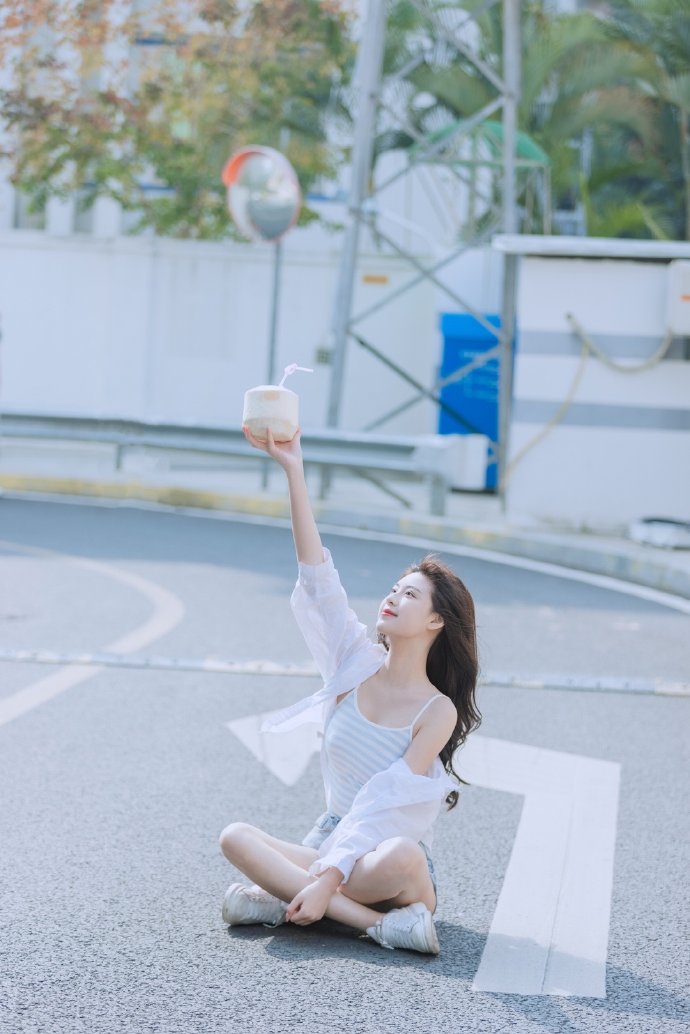 甄嬛传 封面